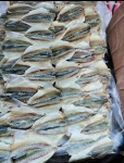 Cá chỉ vàng